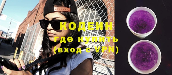 дживик Осинники