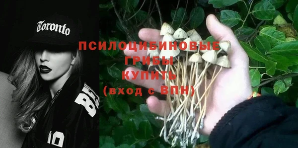 Альфа ПВП Абдулино