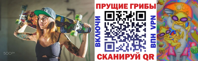 Галлюциногенные грибы Psilocybe  кракен tor  Приволжск 