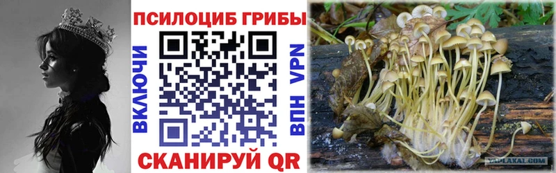 Галлюциногенные грибы ЛСД Приволжск